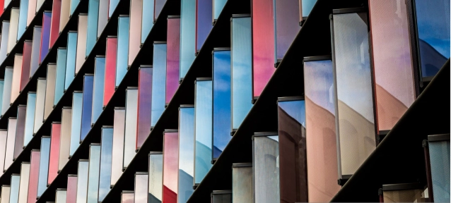 Portafolios Especiales